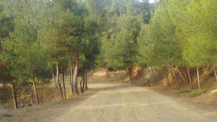 Θεσσαλονίκη: Απαγόρευση κυκλοφορίας στο Σέιχ Σου