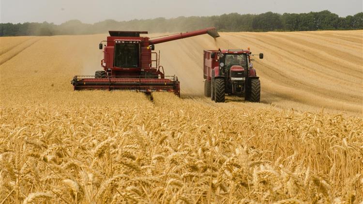 Funds:  Βig sellers of corn, wheat, soyoil amid global market meltdown