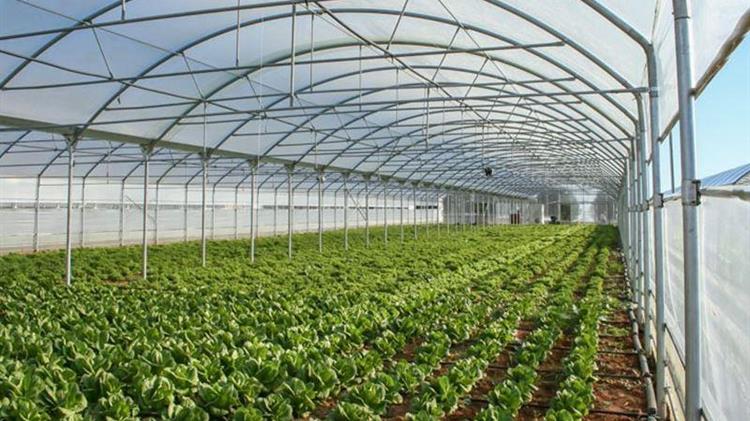 Χανιά: Μέτρα στήριξης ζητούν οι αγρότες της επαρχίας Σελίνου