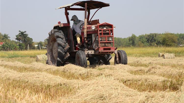 Πως η πανδημία μπορεί να αλλάξει την γεωργία 