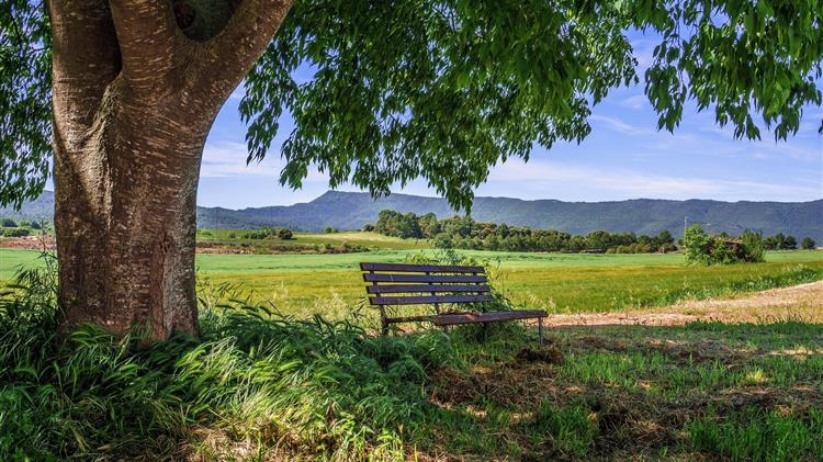 Χάνουν την έκπτωση 25% στους φόρους όσοι βιάστηκαν να πληρώσουν!