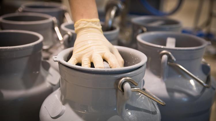 Ανησυχία των κτηνοτρόφων για τις εισαγωγές αιγοπρόβειου γάλακτος