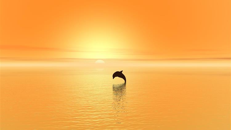 Τουρκία: Τα δελφίνια χαίρονται έναν Βόσπορο ασυνήθιστα γαλήνιο χάρη στο lockdown