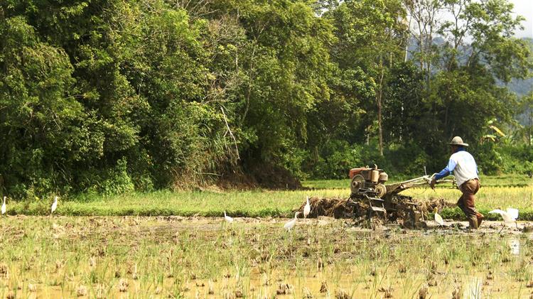 Αγροτικές επιδοτήσεις 2020: Ποια στοιχεία μπορεί να αλλάξουν στις αιτήσεις για την ενιαία ενίσχυση