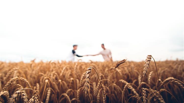 Η ελληνική γεωργία και αγροδιατροφή μετά την πανδημία