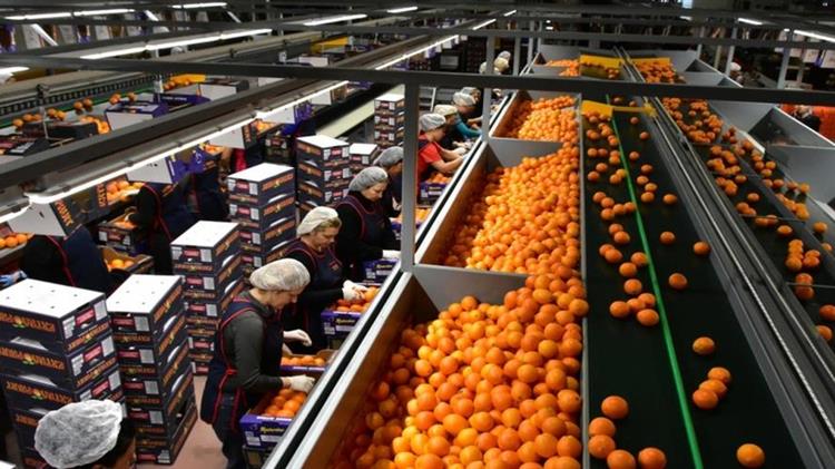 Αύξηση χρηματοδότησης μεταποιητικών επιχειρήσεων