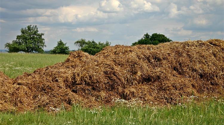 Νέα Αριστερά: Για το σκάνδαλο διαφθοράς στον ΟΠΕΚΕΠΕ