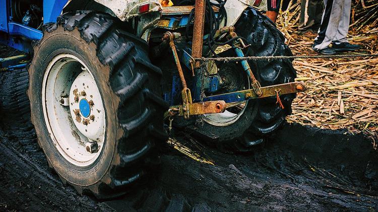  Μπαγινέτας: Η διασφάλιση της βιωσιμότητας του πρωτογενούς τομέα είναι ζωτικής σημασίας