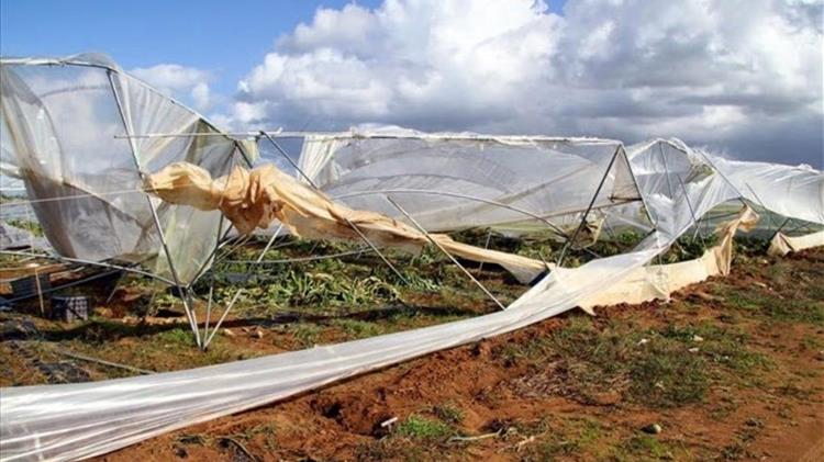Κρήτη: Ζημιές σε θερμοκήπια λόγω των ισχυρών νοτιάδων - Σε απόγνωση οι καλλιεργητές 