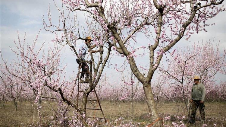 Με προϋπολογισμό 60 εκατ. ευρώ ξεκινά την εφαρμογή του το πρόγραμμα «Κομφούζιο»