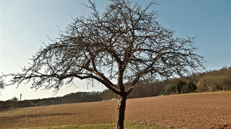 Ζητήματα του πρωτογενή τομέα τέθηκαν κατά την επίσκεψη στη Βυτίνα του Βορίδη