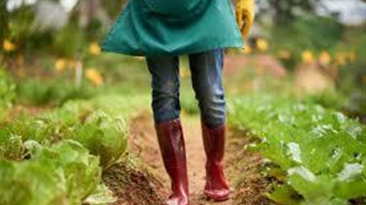 Πρωτογενής τομέας: Ανέργοι της Δυτικής Μακεδονίας μπορούν να εργαστούν στην Κρήτη