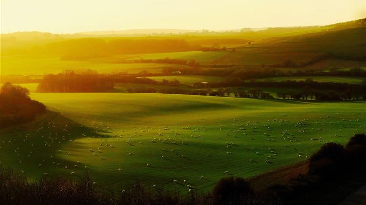 ΣΕΚ: Άμεσα μέτρα προστασίας της πρωτογενούς παραγωγής