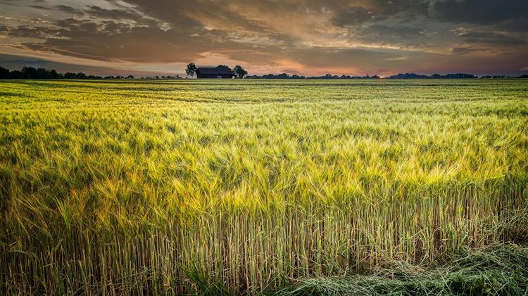 COVID-19: Our hungriest, most vulnerable communities face “a crisis within a crisis”