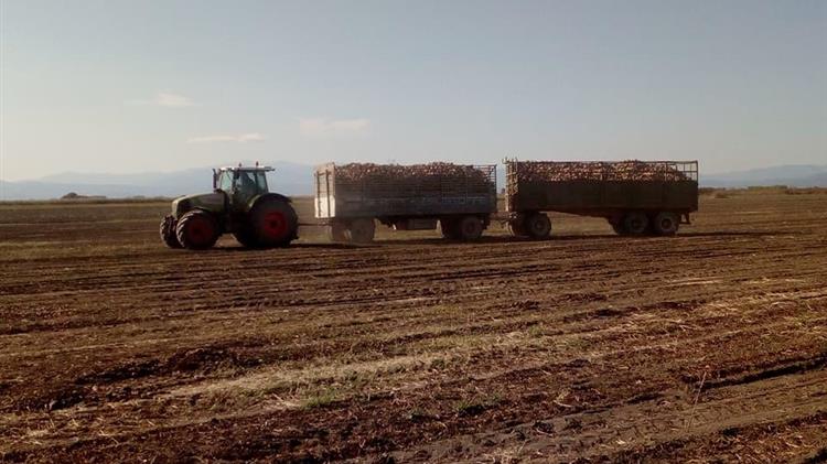 Νέες ανακοινώσεις ενισχύσεων και αποζημιώσεων καλλιεργητών και αλιέων