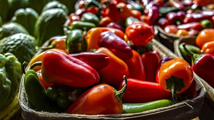 Φλώρινα: Συνάντηση για την πιστοποίηση της κόκκινης πιπεριάς