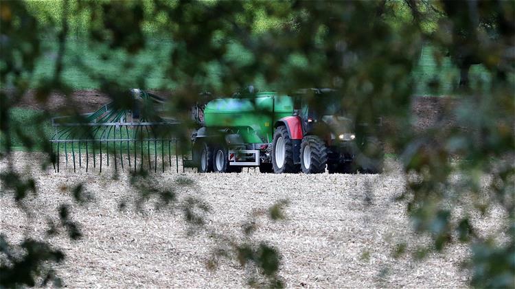 ΕΛΓΟ-ΔΗΜΗΤΡΑ: Επιτελικό κράτος ή κράτος-λάφυρο;