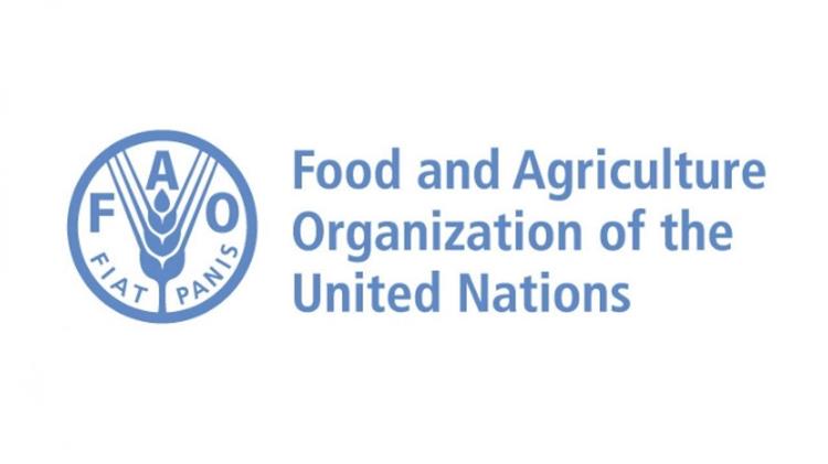 Μικρή άνοδος στον παγκόσμιο δείκτη τιμών τροφίμων τον Σεπτέμβριο