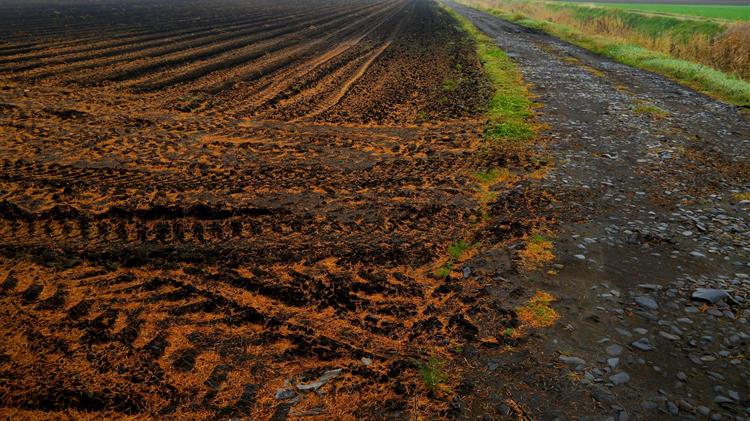 Νέα Αριστερά για Τσιάρα: Παραδοχές κατόπιν εορτής για ΟΠΕΚΕΠΕ