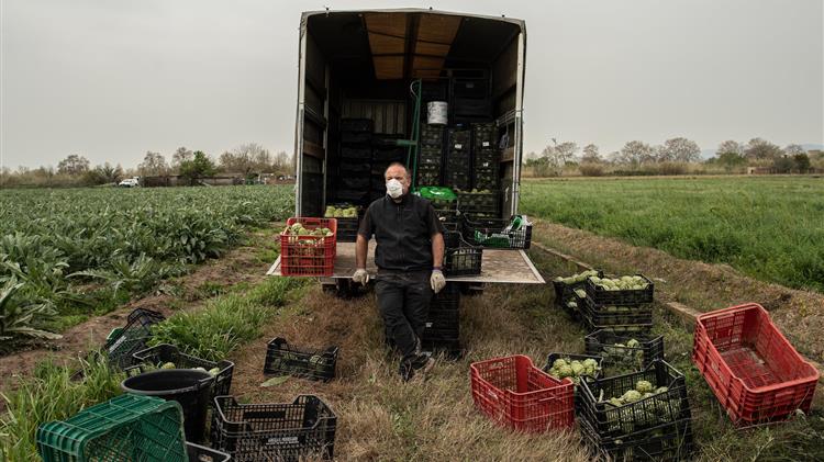 Γαλλία: Περισσότεροι από 280.000 άνθρωποι εγγράφονται για να βοηθήσουν τους αγρότες 