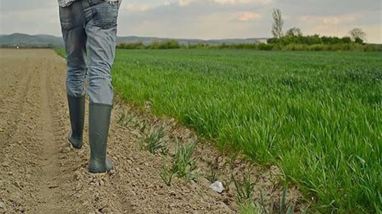 Αγροτικός Σύλλογος Βέροιας: «Ο δρόμος του αγώνα γίνεται πλέον καθολικός»