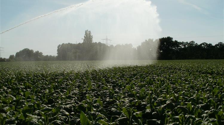 Ενίσχυση 11,3 εκατ. ευρώ στους καπνοπαραγωγούς, λόγω πανδημίας