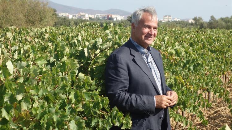 Μ. Βορίδης: Κατανέμονται οι νέες άδειες φύτευσης οινοποιήσιμων ποικιλιών αμπέλου για το 2020
