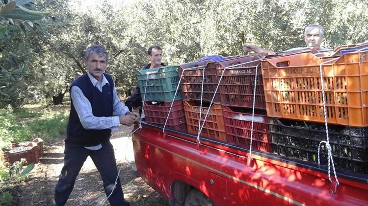 Παράταση έως 30/6/23 στην προθεσμία για υποβολή αιτημάτων για κατά παρέκκλιση μετάκληση εργατών γης