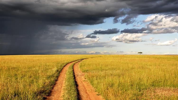 Δημιουργία επισιτιστικής ασφάλειας κατά τη διάρκεια της πανδημίας