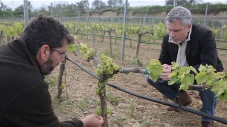 Τηλεοπτική εκπομπή για τις προκλήσεις στην αλυσίδα της διατροφής λόγω κορονοϊού