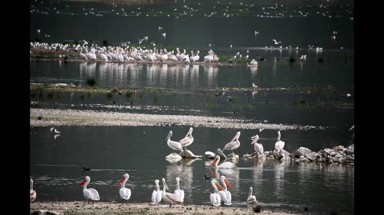 Τους  76 υγρότοπους της Θεσσαλίας αναδεικνύει η Περιφέρεια 