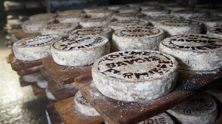 Οι Γάλλοι αγρότες προειδοποιούν ότι 5.000 τόνοι τυριών θα μπορούσαν να χαθούν