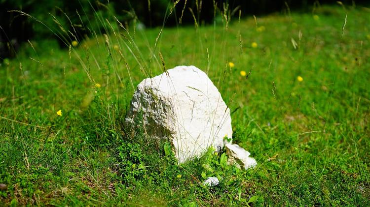 ΠΑΣΟΚ για τα κόκκινα δάνεια των αγροτών: «Άνθρακες ο θησαυρός»