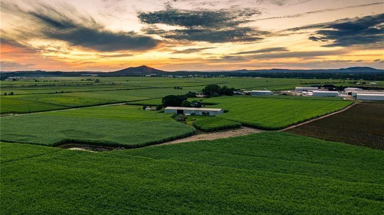 Το θανατηφόρο γεωργικό μας σύστημα: η άλλη έκτακτη ανάγκη