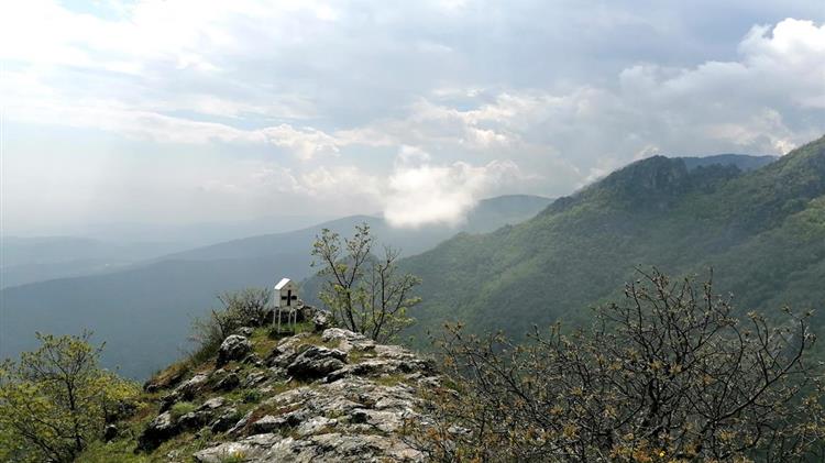  Την διαδικτυακή ενότητα «Pure Naoussa- Καθαρή Νάουσα» θέτει σε λειτουργία ο Δήμος Νάουσας