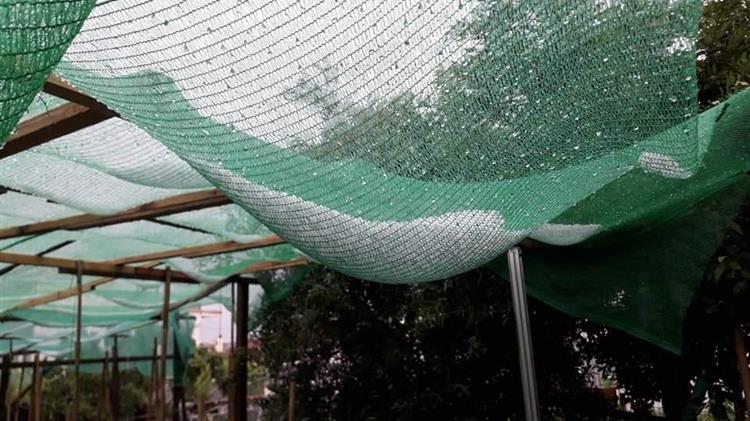 Έπνιξε το χαλάζι τη Χαλκιδική - Αγωνία για τις καλλιέργειες