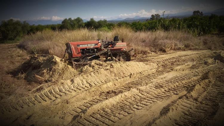 ΣτΕ: Αντισυνταγματική η  εξαγορά παρανόμως εκχερσωμένων εκτάσεων