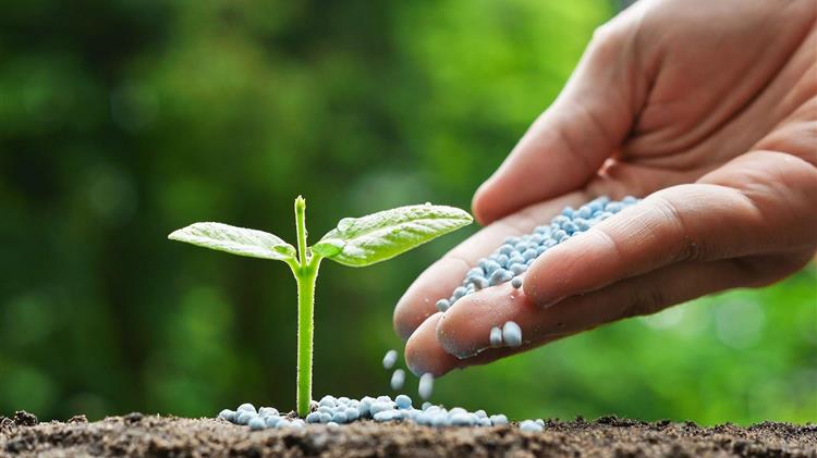 Παρέμβαση για την Κοινή Αγροτική Πολιτική στην Ολομέλεια του Ευρωκοινοβουλίου