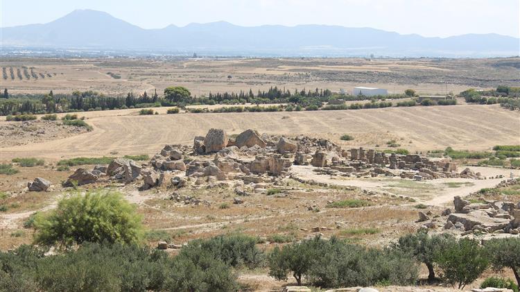Tunisia’s unique farming systems win recognition as part of the global agricultural heritage