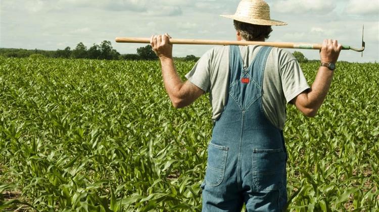 Small family farmers produce a third of the world’s food