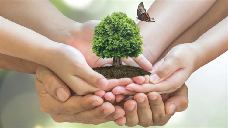 Φωτεινής Αραμπατζή: Για Παγκόσμια Ημέρα Περιβάλλοντος 