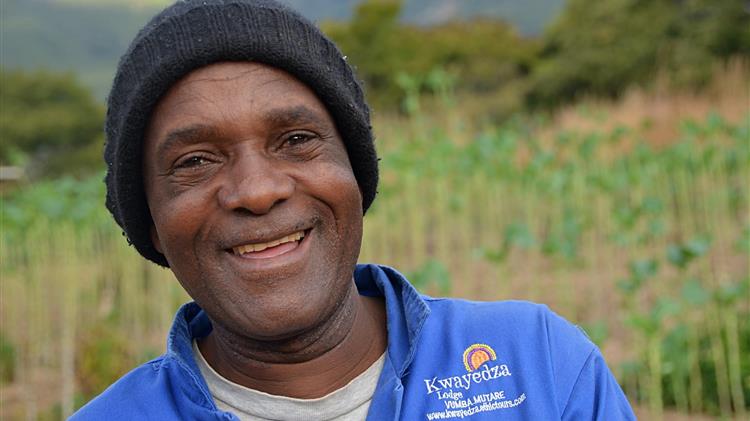 Ζιμπάμπουε: Οι αγρότες επιστρέφουν στις παραδοσιακές καλλιέργειες για να νικήσουν την πείνα