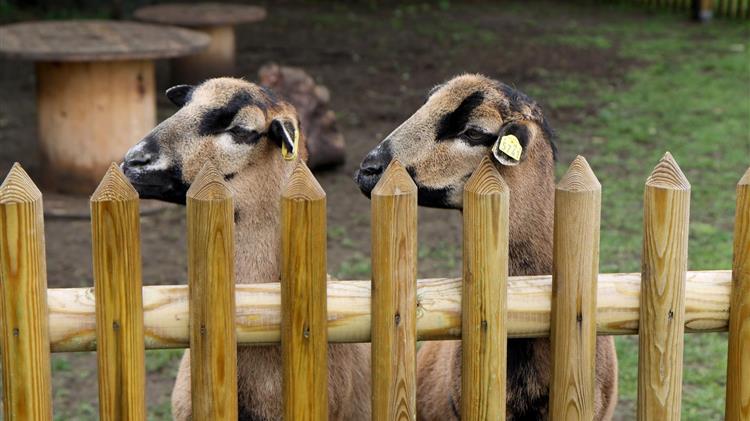 Μεγάλα προβλήματα δημιουργούνται από την ΚΥΑ της τελευταίας στιγμής με αναδρομική ισχύ