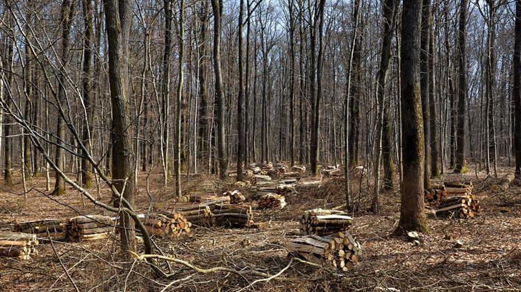 Βιώσιμη χρηματοδότηση: Προς ένα κοινό σύστημα ταξινόμησης των πράσινων επενδύσεων