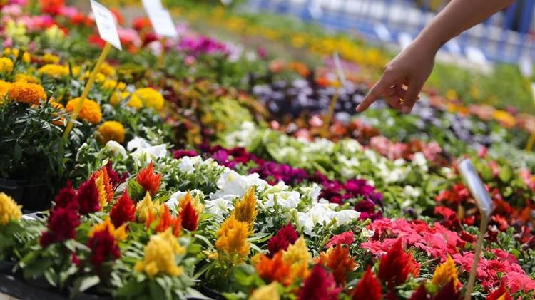 Όλα στο Πόδι το ΥΠΑΑΤ για τους Ανθοπαραγωγούς