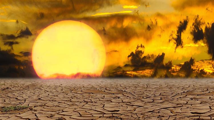 Τον κανονισμό του προτάσσει ο ΕΛΓΑ αναφορικά με τις αποζημιώσεις για τον πρόσφατο καύσωνα