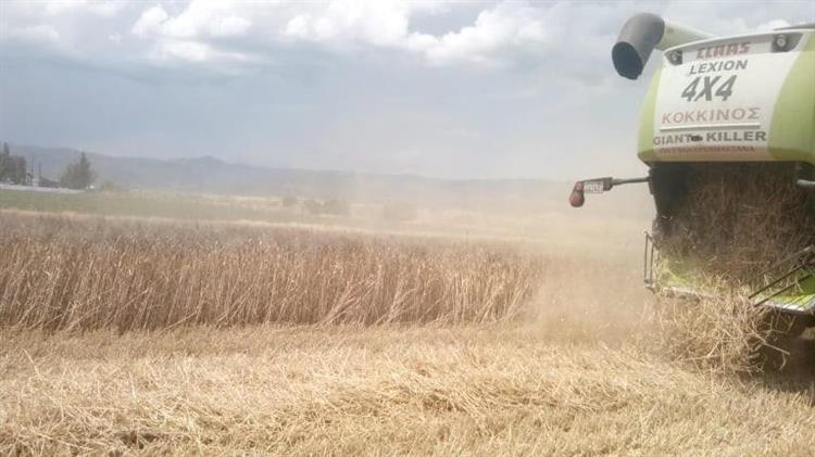 Η καθημερινή μάχη των αγροτών για τη παραγωγή τροφίμων