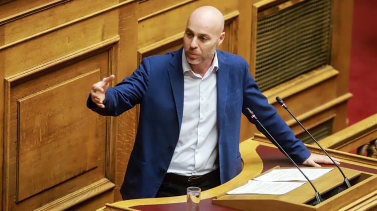 Ελληνική ξυλεία για τους στύλους της ΔΕΗ ζητά ο Αμυράς