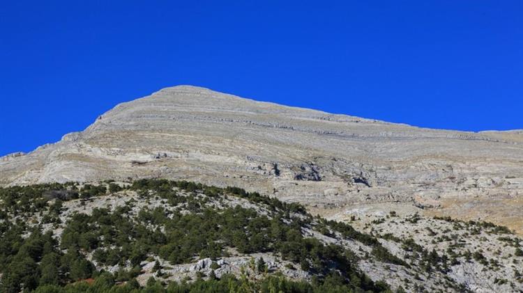 Συντονιστική Επιτροπή Ταϋγέτου για την Ολοκληρωμένη Χωρική Επένδυση 
