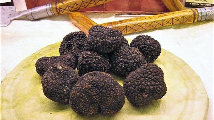 Πρώτη πανελλήνια γιορτή τρούφας στην Καλαμπάκα από 8 έως 11 Ιουνίου